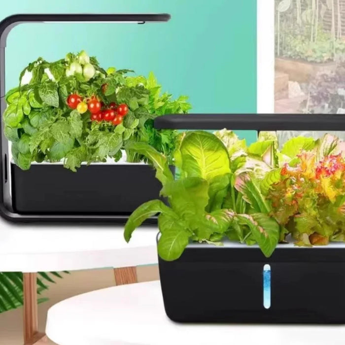 Enagua Mart Efficient Hydroponic Plant Growing Kit - Indoor Herb Garden with Smart LED Light System