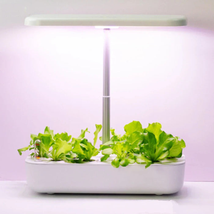 Enagua Mart Hydroponics Growing System - 12 Pods Indoor Herb Garden with LED Grow Light