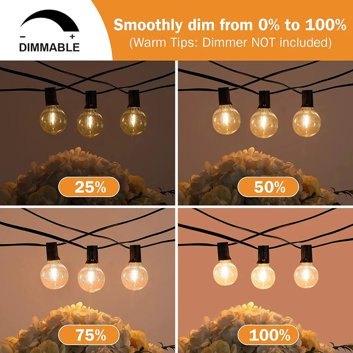 Enagua Mart Festoon LED Globe String Lights - G40 Fairy Garland for Christmas, Party & Garden Decoration