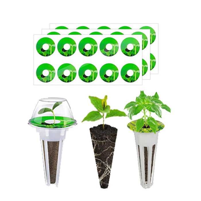 Enagua Mart Soilless Seed Planting Seedling Pots - Hydroponic Planting Baskets for Vegetable & Flower Germination