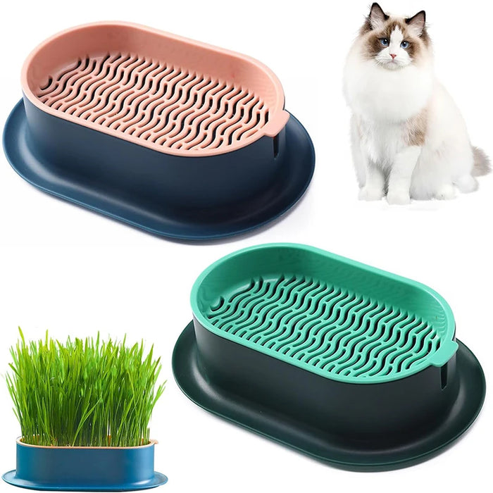 Enagua Mart Cat Grass Hydroponic Box – Creative Indoor & Outdoor Garden Pot