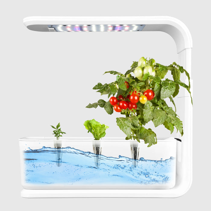 Enagua Mart Hydroponics Growing System - 3-Pod Indoor Herb Garden, LED Grow Lights, Compact Design