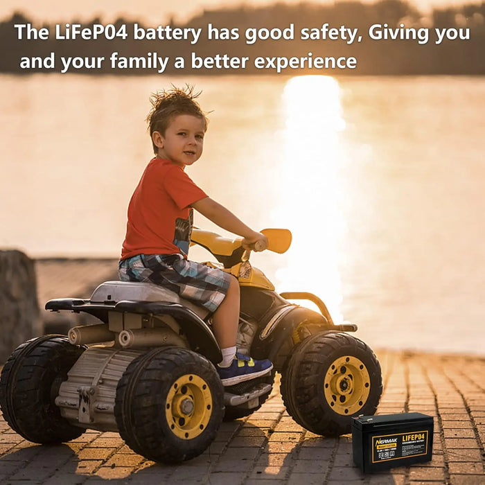 Enagua Mart 2-Pack 12V 10Ah Lithium-Ion LiFePO4 Deep Cycle Battery - 2000 Cycles for Solar, Wind Power, UPS, Scooters