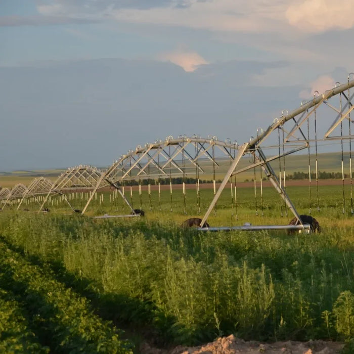 Enagua Mart Center Pivot Irrigation System - Latest Technology for Agricultural Use