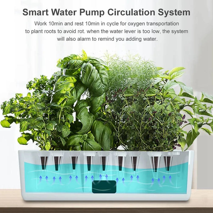 Enagua Mart Smart Hydroponics Growing System - LED Grow Light, Indoor Herb Nursery Kit