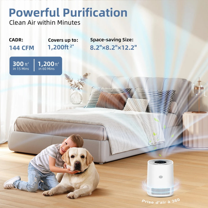 Enagua Mart Indoor Harmful Gas Detection and Removal System - High-Efficiency Portable Odor Eliminator and Air Purification System