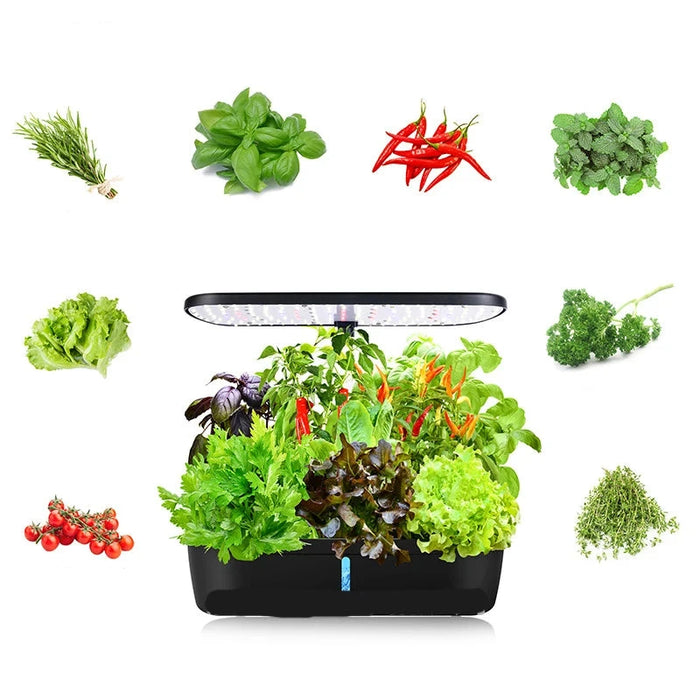 Enagua Mart 6 Plants Indoor Hydroponics System - Herb Planting Pot with LED Plant Lamp