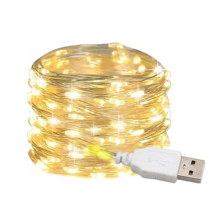 Enagua Mart USB LED String Lights - 5/10/20M Copper/Silver Wire Garland Light for Christmas Wedding Party