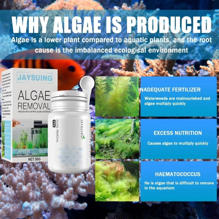 Enagua Mart Fish Tank Cleaner Algae Tablets - Water Purification and Impurity Removal