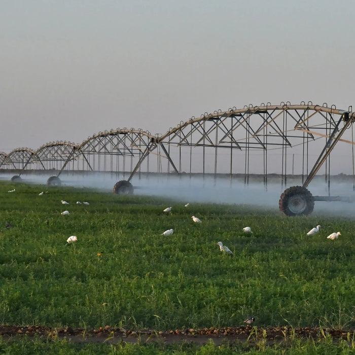 Enagua Mart Center Pivot Irrigation System - Best Agricultural Irrigation System from China for 2024