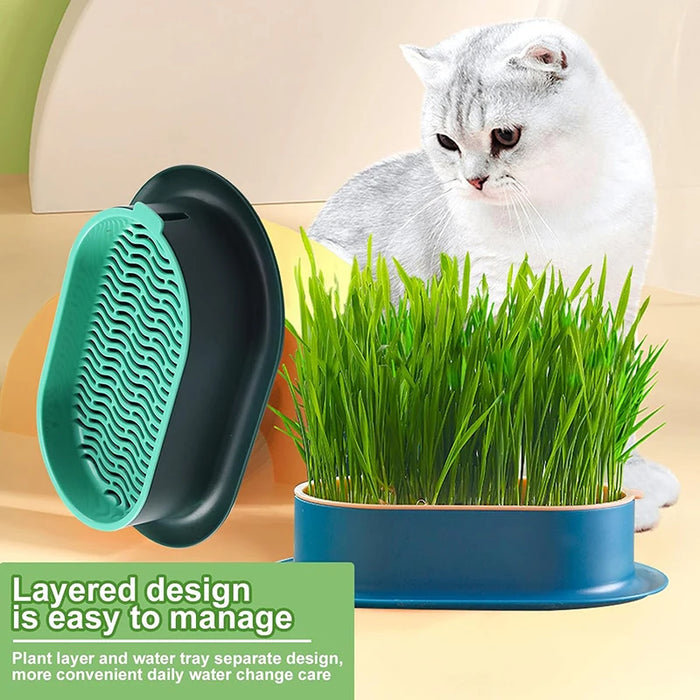 Enagua Mart Cat Grass Hydroponic Box – Creative Indoor & Outdoor Garden Pot